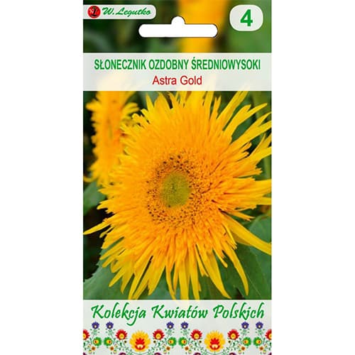 Okrasna sončnica Astra Gold slika 1 članek 96747