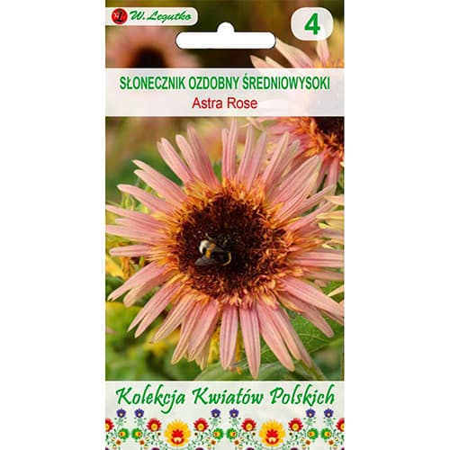 Okrasna sončnica Astra Rose slika 1 članek 96748