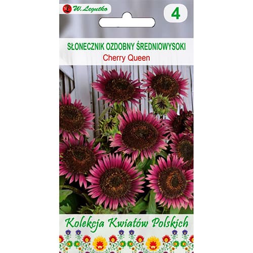 Okrasna sončnica Cherry Queen slika 1 članek 96749