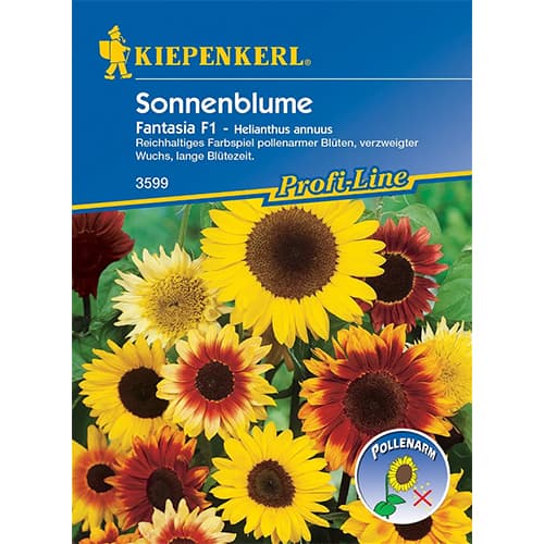 Okrasna sončnica Fantasia F1 slika 1 članek 86320