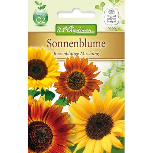 Okrasna sončnica, velika - mešanica slika 1 članek 78915