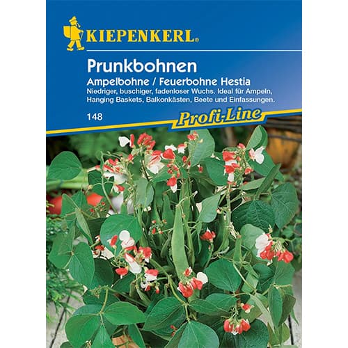 Okrasni fižol Hestia slika 1 članek 77468