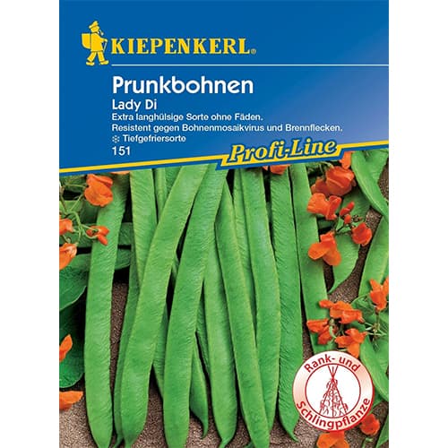 Okrasni fižol Lady Di slika 1 članek 77469