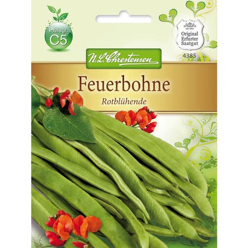 Okrasni fižol Rotbluhende slika 1 članek 78829