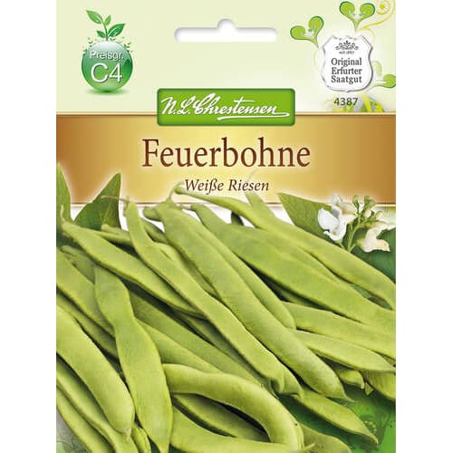 Okrasni fižol White Giant slika 1 članek 78830