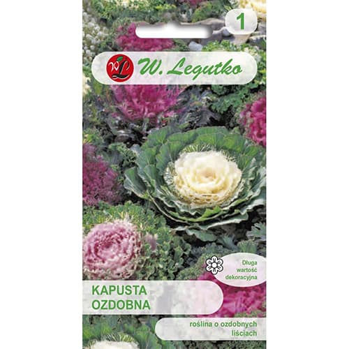 Okrasno zelje, večbarvna mešanica slika 1 članek 69596