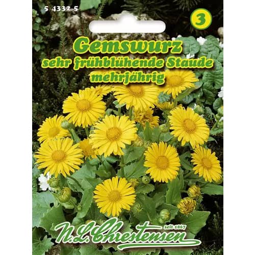 Orientalske marjetice trajnice slika 1 članek 96415