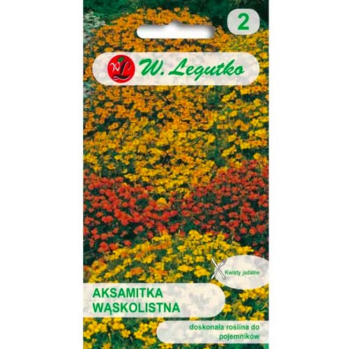 Ozkolistni žametnik, mešanica slika 1 članek 50079