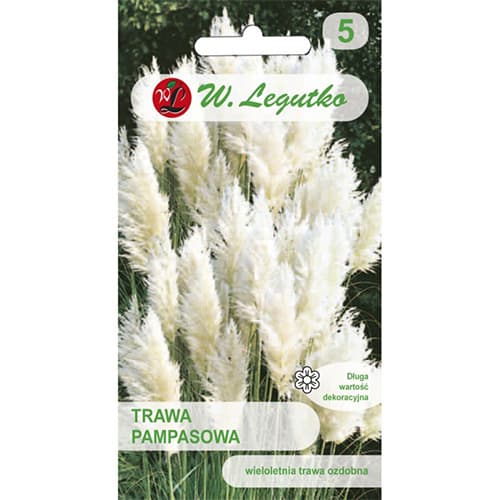 Pampaška trava, bela slika 1 članek 69634
