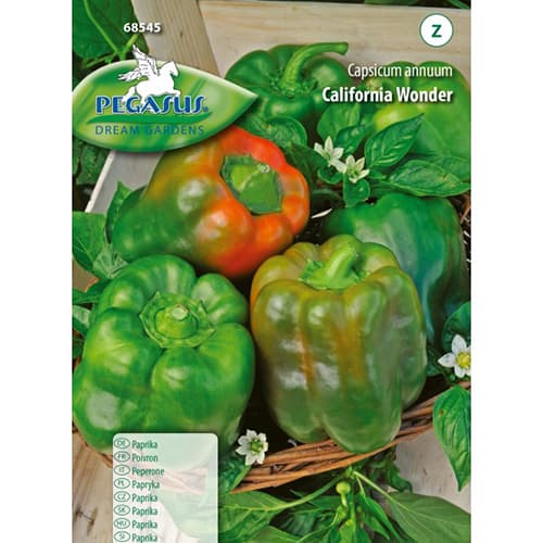 Paprika California Wonder, Kiepenkerl slika 1 članek 50015