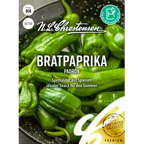 Paprika Padron slika 1 članek 50046