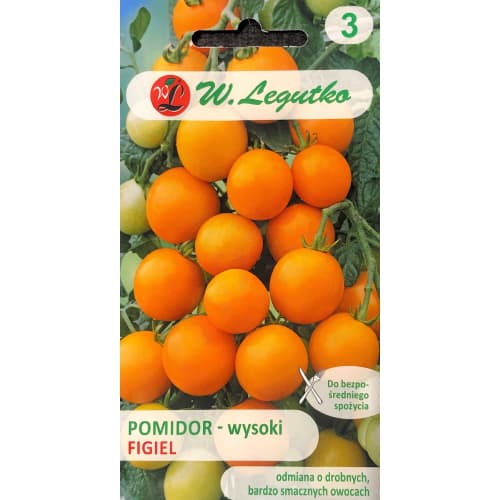 Paradižnik Figiel slika 1 članek 69522