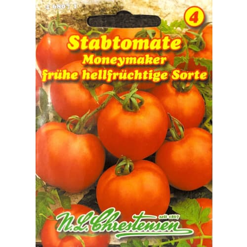 Paradižnik Moneymaker Chrestensen slika 1 članek 96499