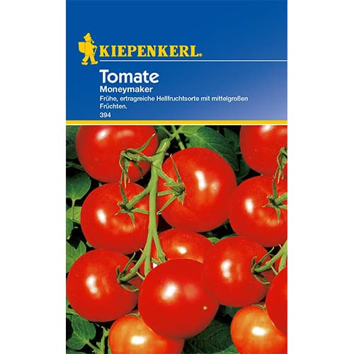 Paradižnik Moneymaker Kiepenkerl slika 1 članek 96664