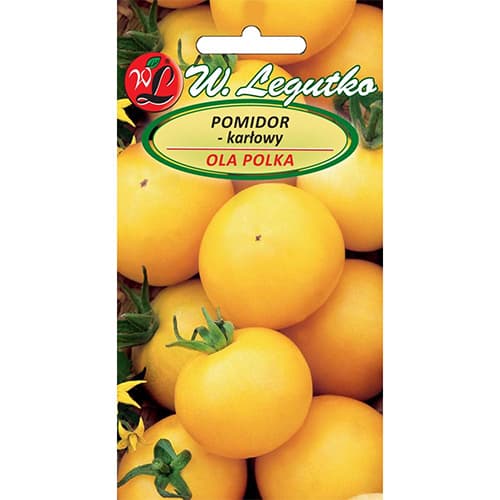 Paradižnik Ola Polka slika 1 članek 69516