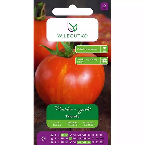 Paradižnik Tigerella slika 1 članek 96810