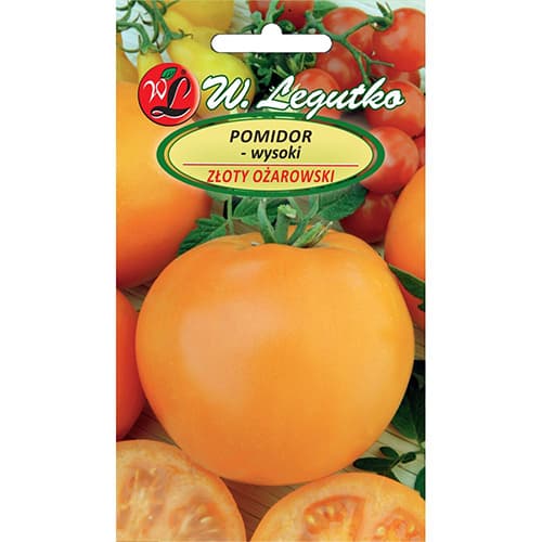 Paradižnik Złoty Ożarowski slika 1 članek 86889