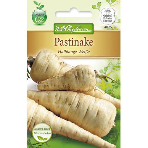 Pastinak Halblange Weisse slika 1 članek 78737