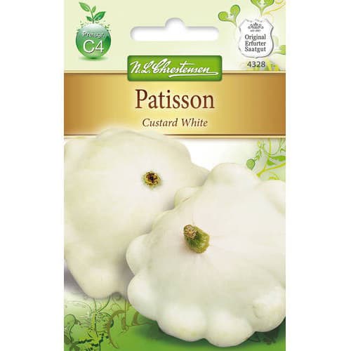 Patišon bučke Custard White slika 1 članek 78812