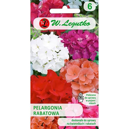 Pelargonija F2, večbarvna mešanica slika 1 članek 78634