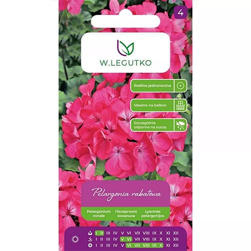 Pelargonija Gama F1, roza slika 1 članek 69621