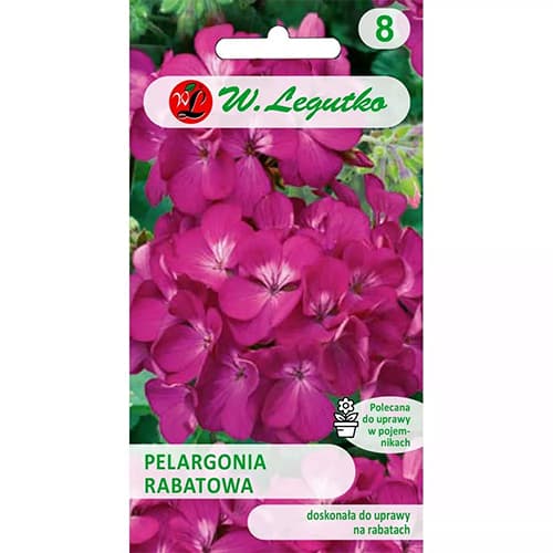 Pelargonija Gama F1, vijolična slika 1 članek 78633