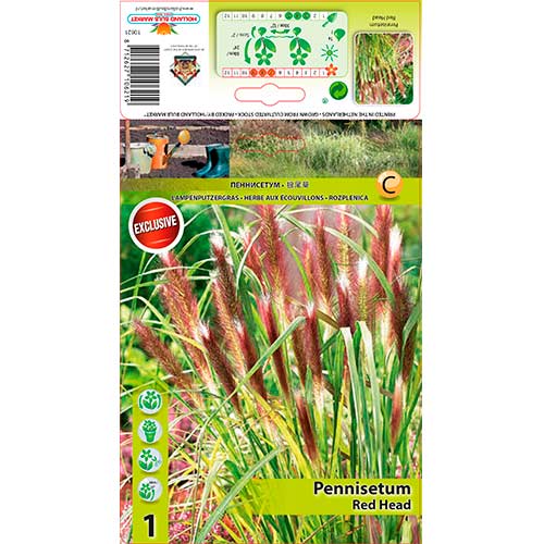 Perjanka Red Head slika 1 članek 76346