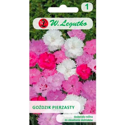 Pernati nagelj, mešanica slika 1 članek 50102