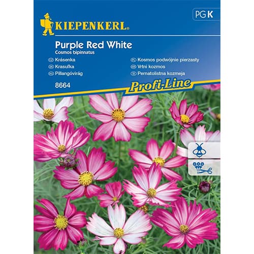 Pernatolistna kozmeja Purple Red White slika 1 članek 86308