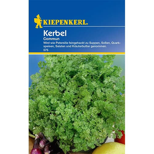 Peteršilj Commun, enoletnica slika 1 članek 77484