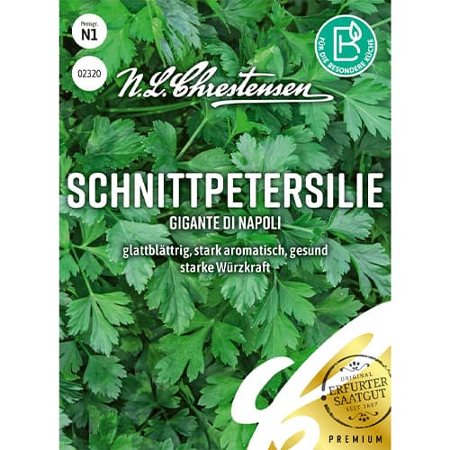 Peteršilj Gigante di Napoli Chrestensen slika 1 članek 86018