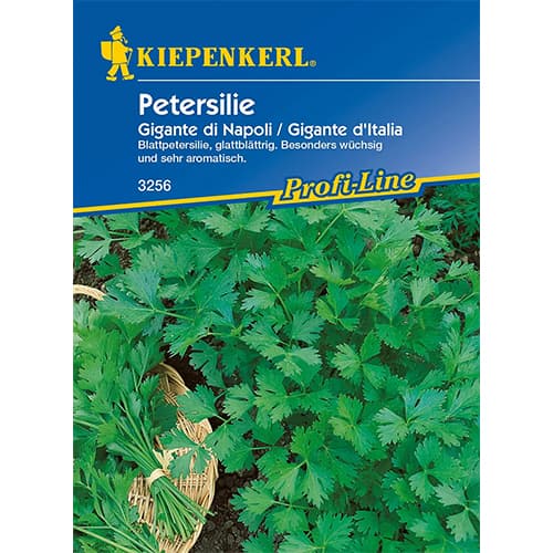 Peteršilj Gigante di Napoli Kiepenkerl slika 1 članek 96644