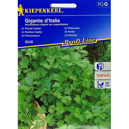Peteršilj Gigante d'Italia Kiepenkerl slika 1 članek 86503