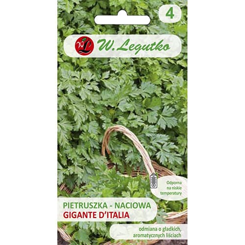 Peteršilj Gigante d'Italia Legutko slika 1 članek 69513