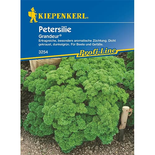 Peteršilj Grandeur slika 1 članek 96645