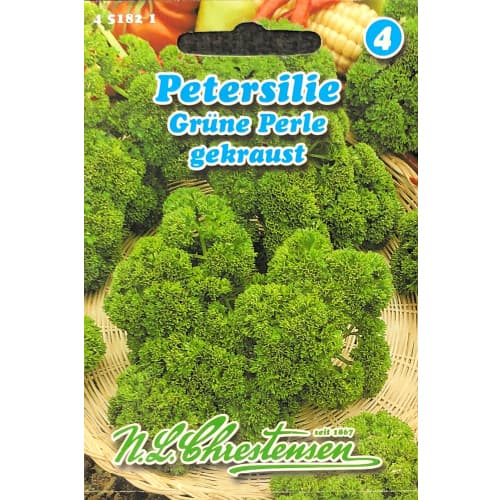 Peteršilj Grune Perle slika 1 članek 87849