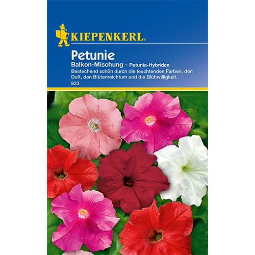 Petunija za balkon, večbarvna mešanica slika 1 članek 86298