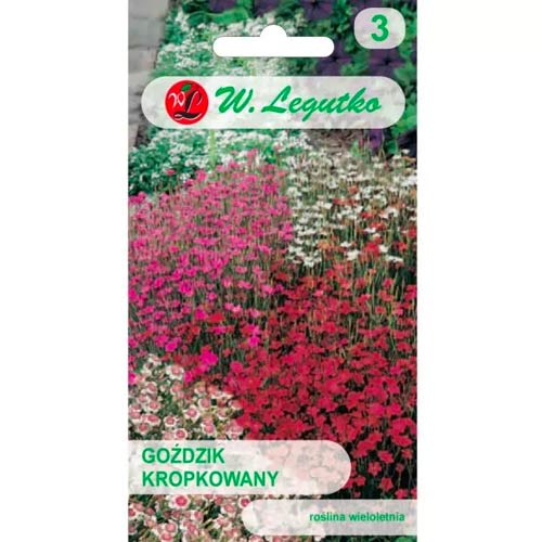 Pikčasti nagelj, mešanica slika 1 članek 50100