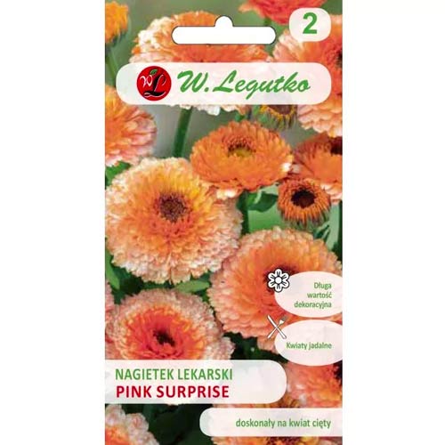 Pink Surprise ognjič slika 1 članek 78582