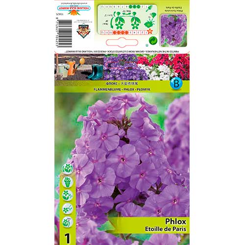 Plamenka Etoille de Paris slika 1 članek 76347