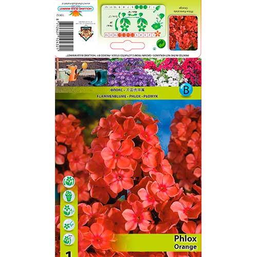 Plamenka Orange slika 1 članek 76617