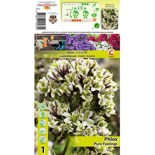 Plamenka Pure Feelings slika 1 članek 70448