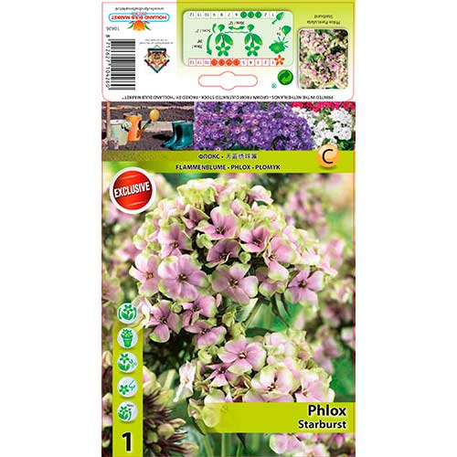 Plamenka Starburst slika 1 članek 76349