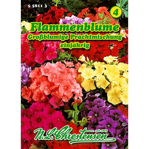 Plamenka, velika - mešanica slika 1 članek 86180