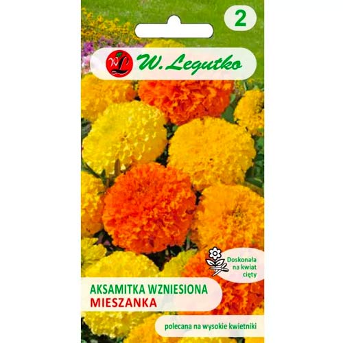 Pokončni pritlikavi wysoka, mix slika 1 članek 50082