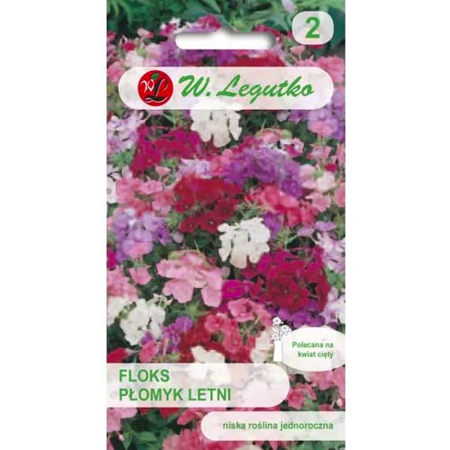 Poletni floks, mešanica slika 1 članek 69589