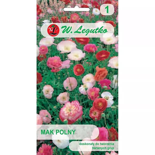 Poljski mak, večbarvna mešanica slika 1 članek 78579