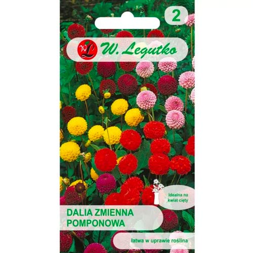 Pompon variabilna dalija, mix slika 1 članek 50091