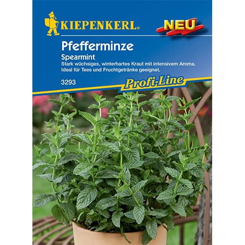 Poprova meta Spearmint slika 1 članek 50019