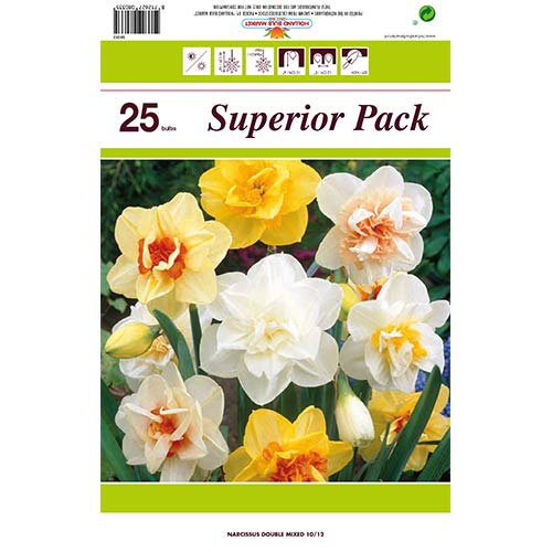 Set frotirnih narcis, mešanica 25 čebulic slika 1 članek 70317
